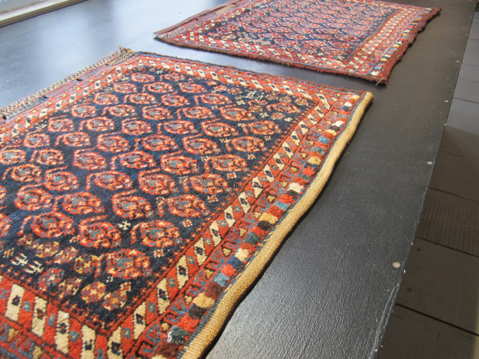 A Pair of Luri Bagfaces